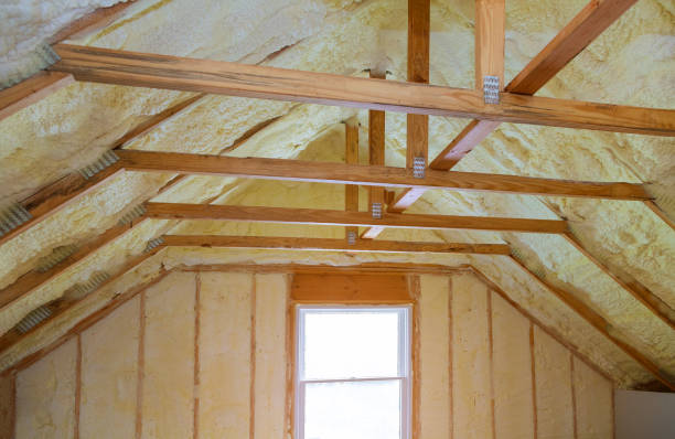 Best Cellulose Insulation in Riverside, OH