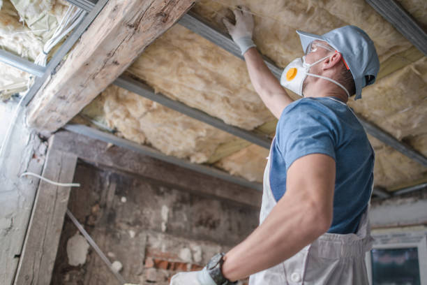 Best DIY Insulation Kits and Guidance in Riverside, OH