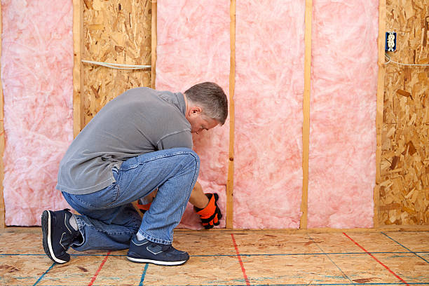 Best DIY Insulation Kits and Guidance in Riverside, OH